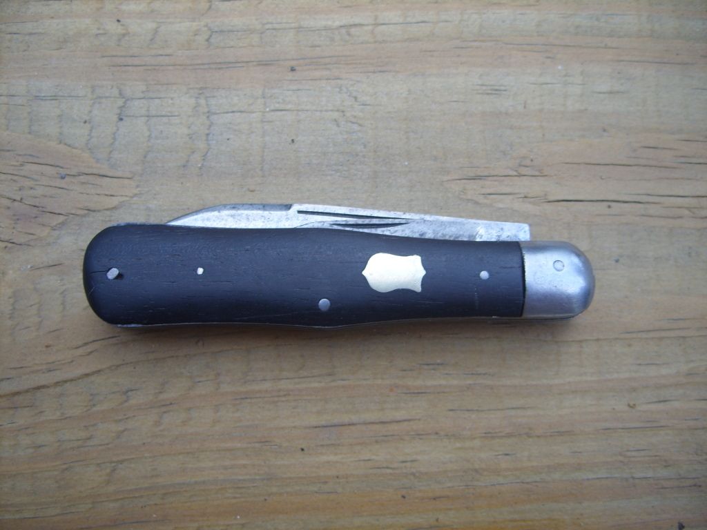 STP80729.jpg