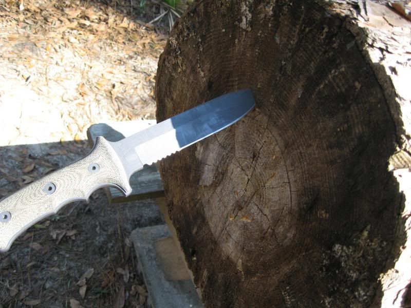 Survival076.jpg