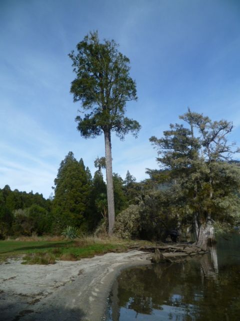 P1060549_zps8bf1d32a.jpg