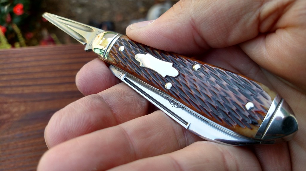 dZx8O8.jpg