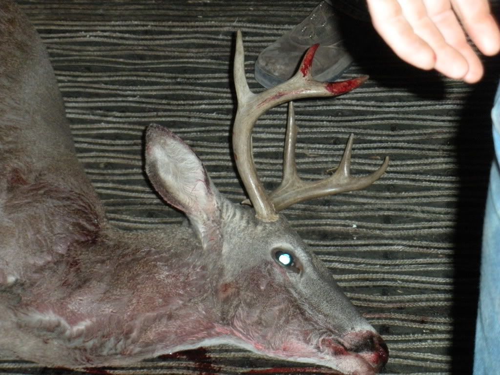DSCN0634.jpg