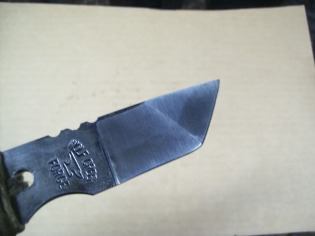 100_7554.jpg