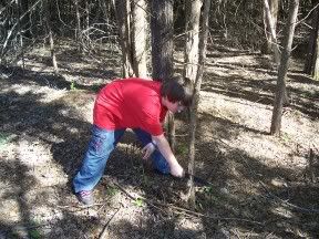 000_0774.jpg