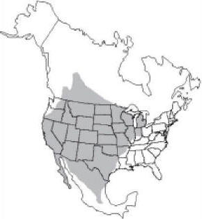 badger-range.jpg