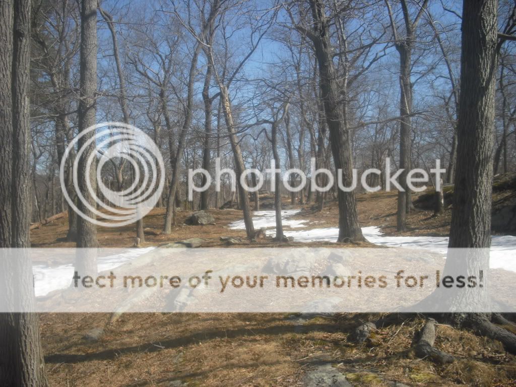 PICT0003-39.jpg