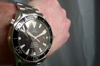 P1000287.jpg