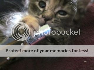 IMG_9881.jpg~original