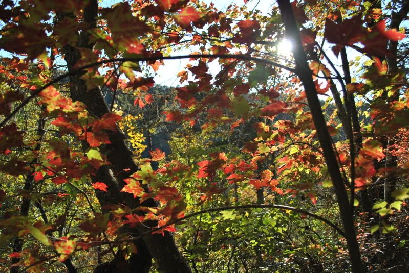 DSC_6786.jpg