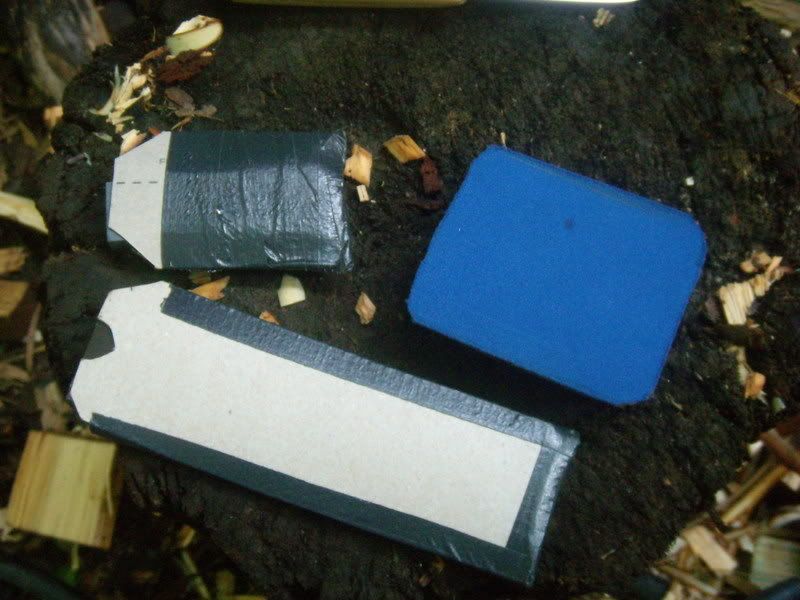 DSCN6550.jpg