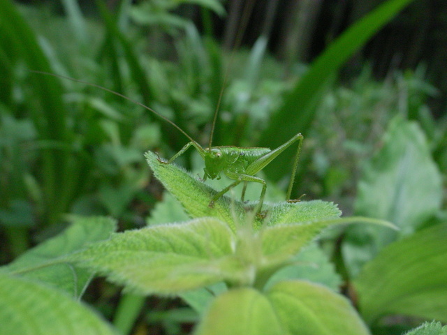 2011.05.30.R0024035.JPG