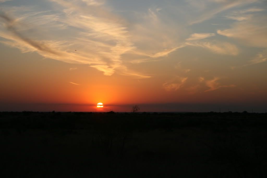 IMG_7331.jpg