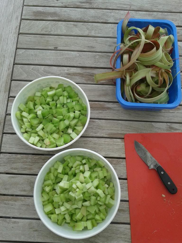 20140421_162106.jpg