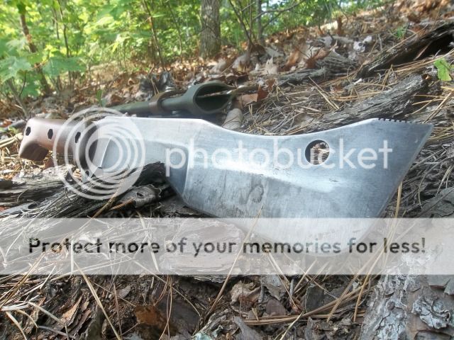 100_1843.jpg