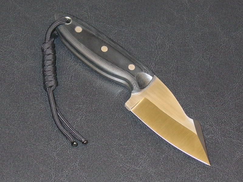 currdog005.jpg