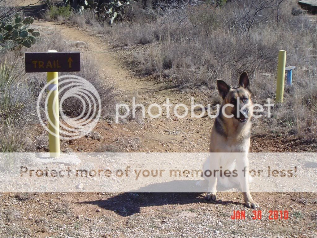 Picture025.jpg