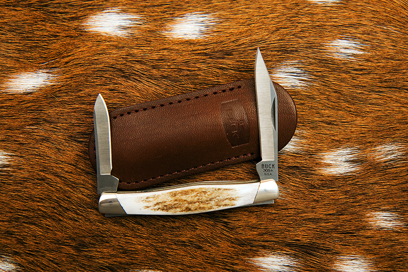 309elk2.jpg
