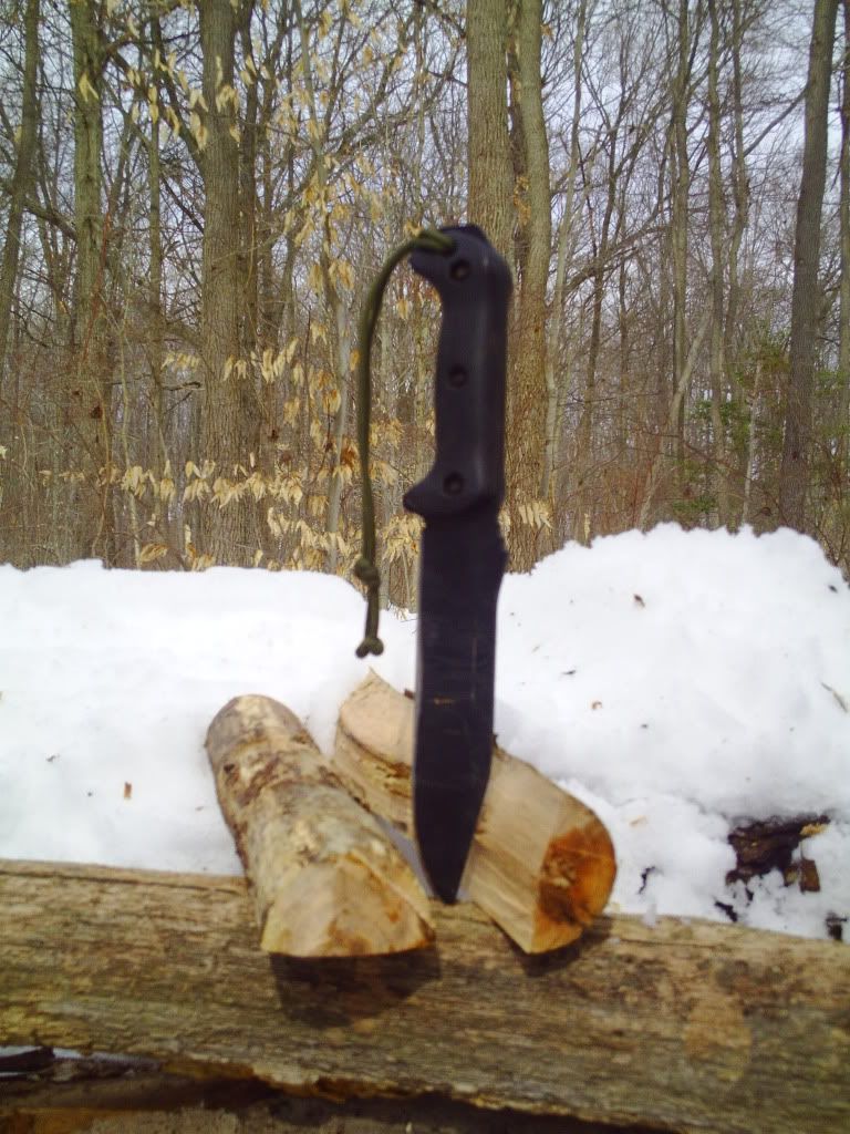 outdoors103.jpg