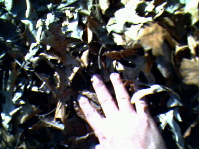 IMG00979.jpg