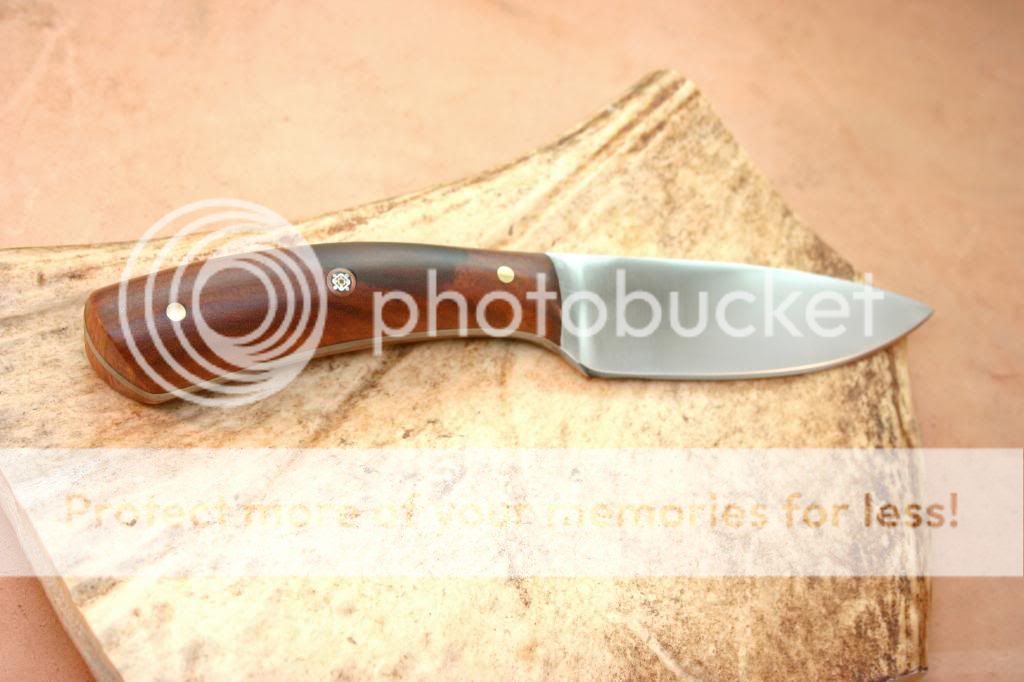 IMG_4315_1_zpsb23671c6.jpg
