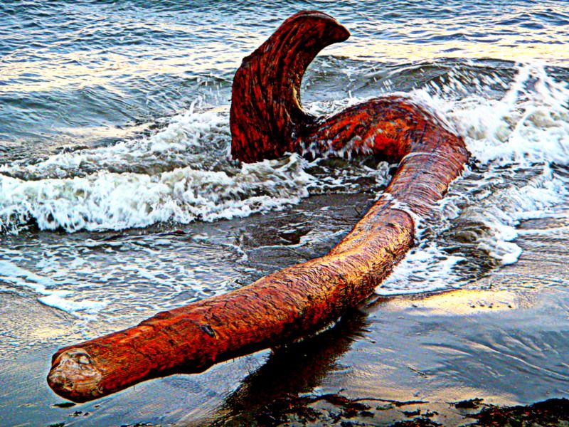 WittysLagoon2012008.jpg
