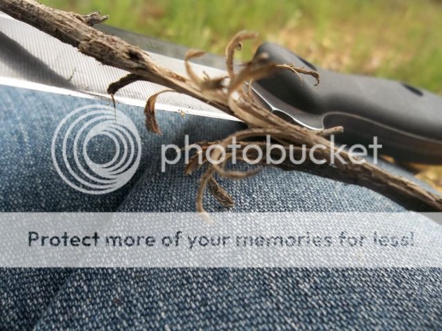 100_3397.jpg