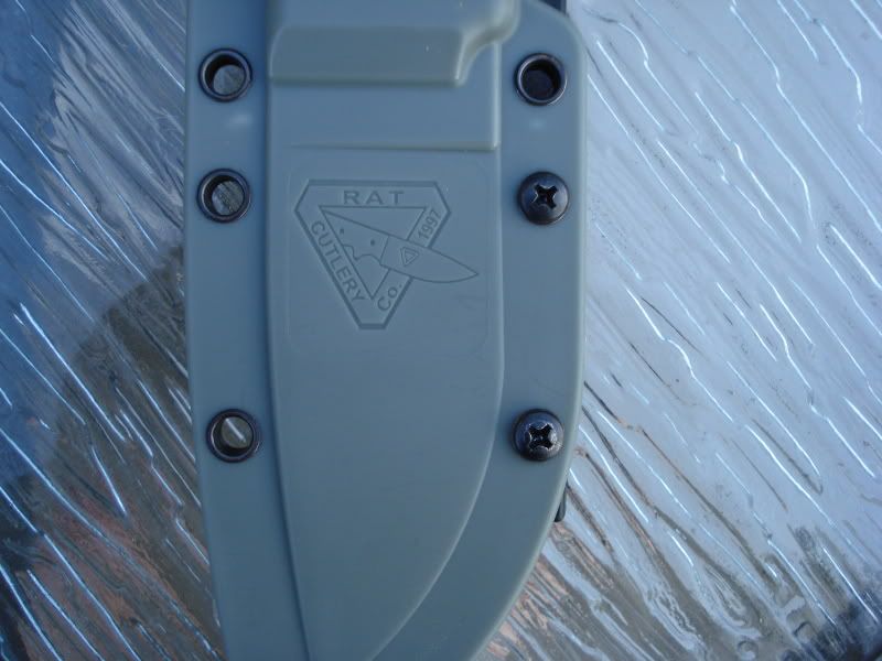 20090316_10.jpg
