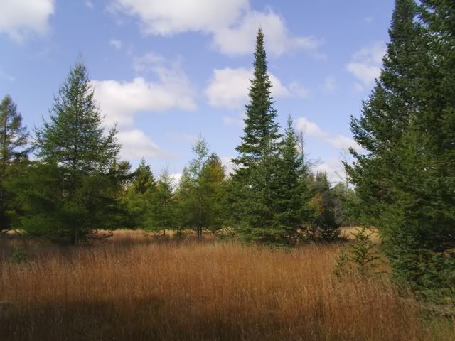 PICT0127.jpg