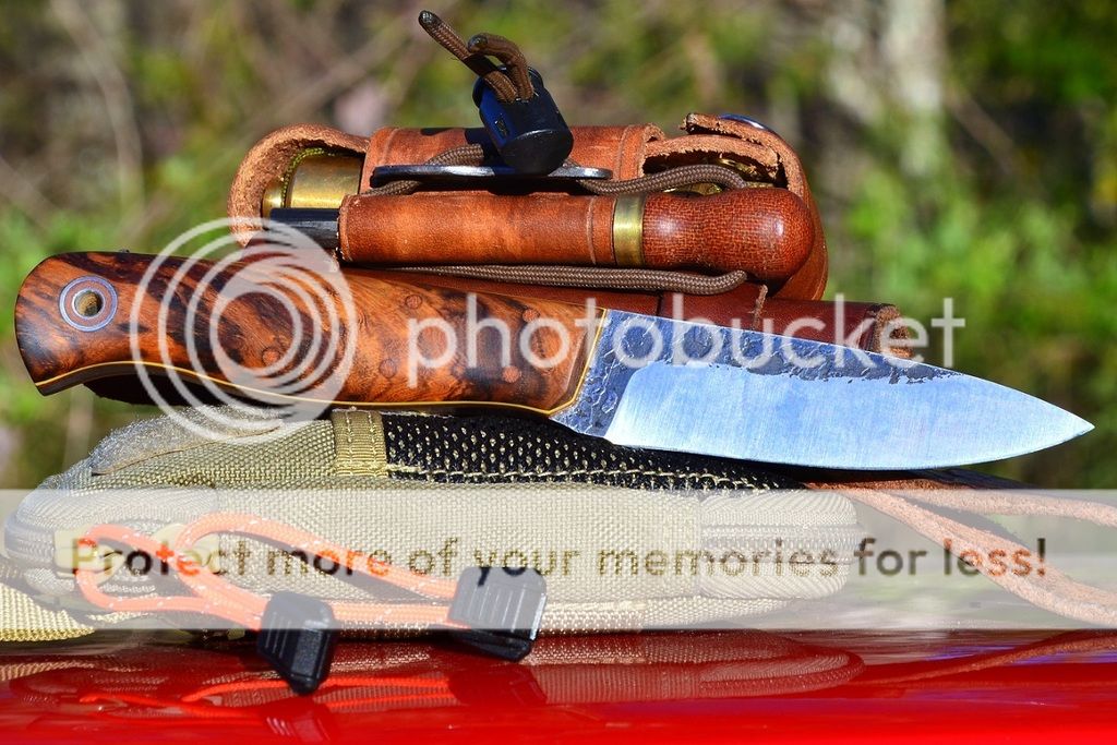 DSC_1182.jpg
