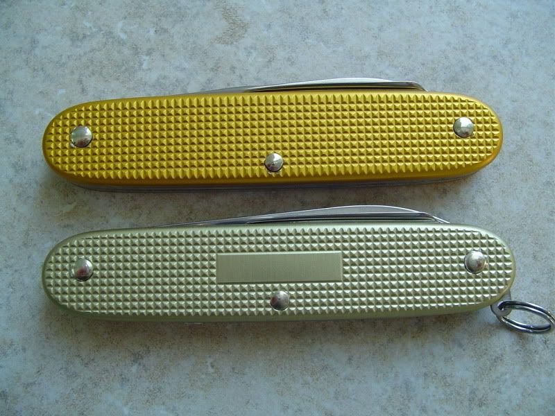 VicSpyderPics007.jpg