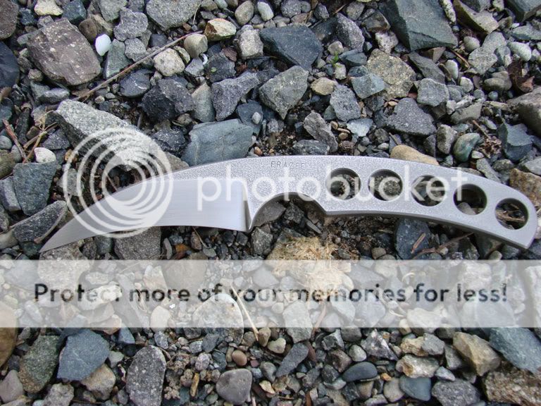 DSC05648.jpg