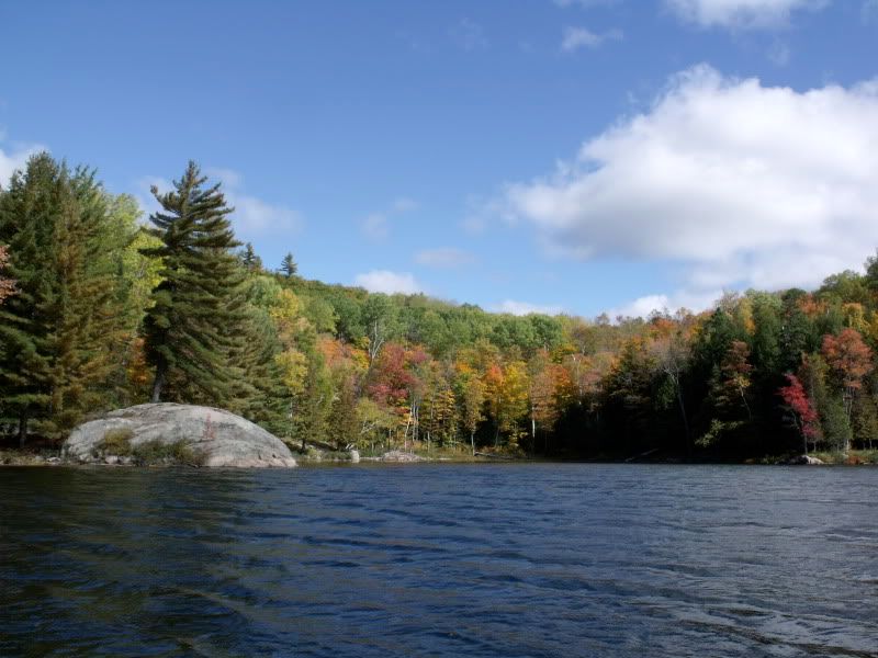 FallPetun025.jpg