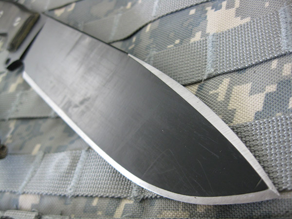 Busse_SHSHII_004.jpg