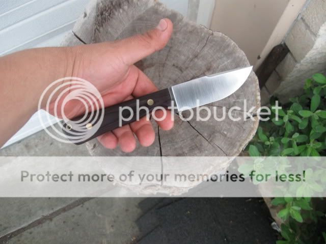 Picture071.jpg