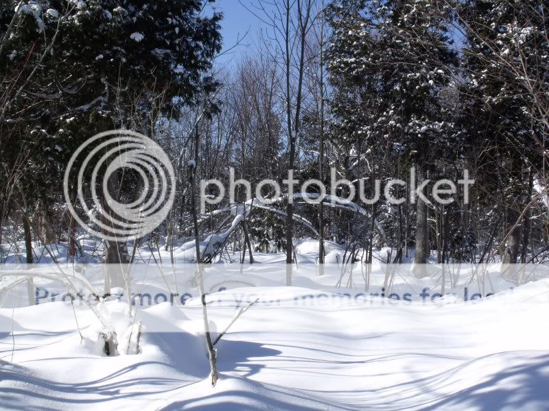 Jan30snowshoeing015.jpg
