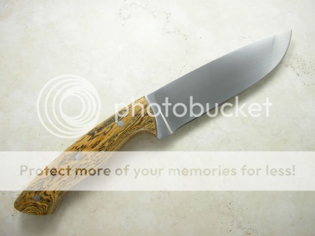 IMGP1376.jpg