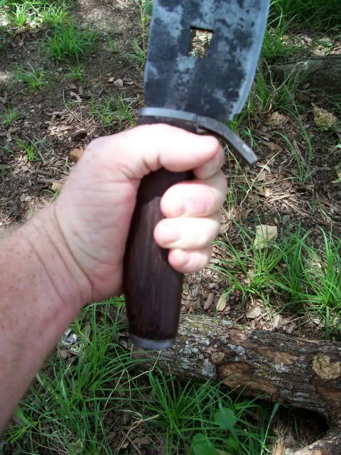 100_1095.jpg