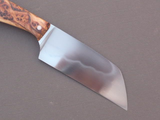 stearnsscandiwharnie044.jpg