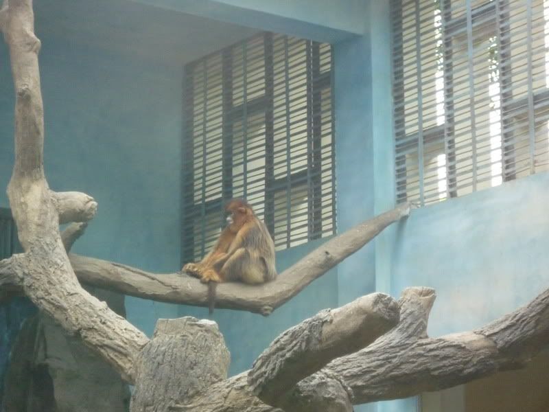 P1060264.jpg