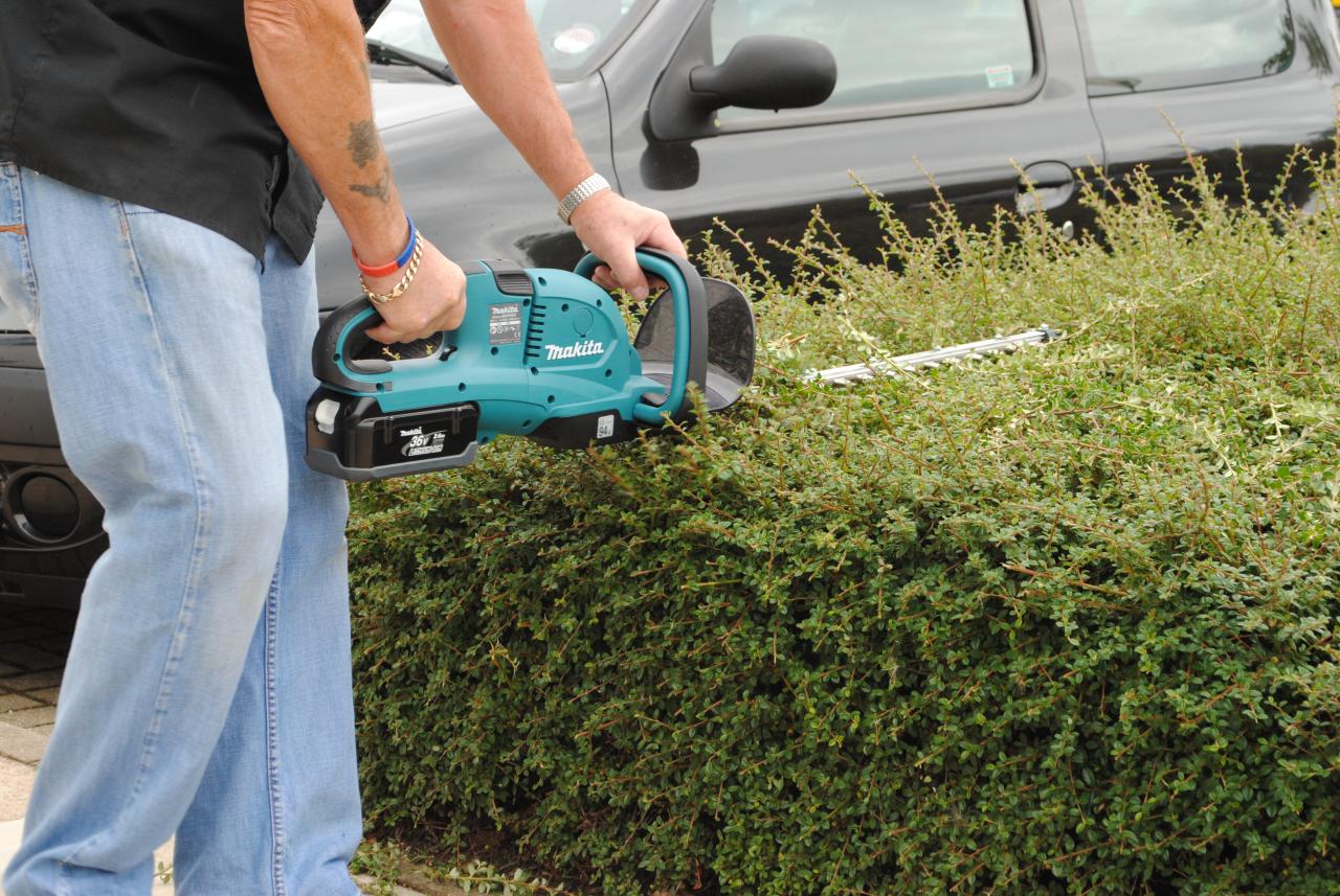 Cordless_electric_hedge_trimmer_2.jpg