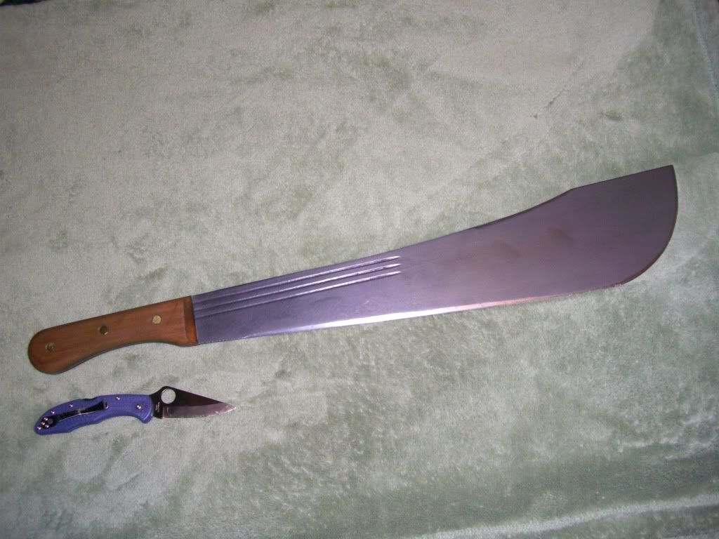 CIMG8625.jpg
