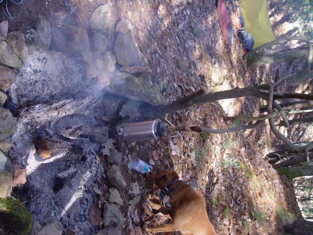 DSC03672.jpg