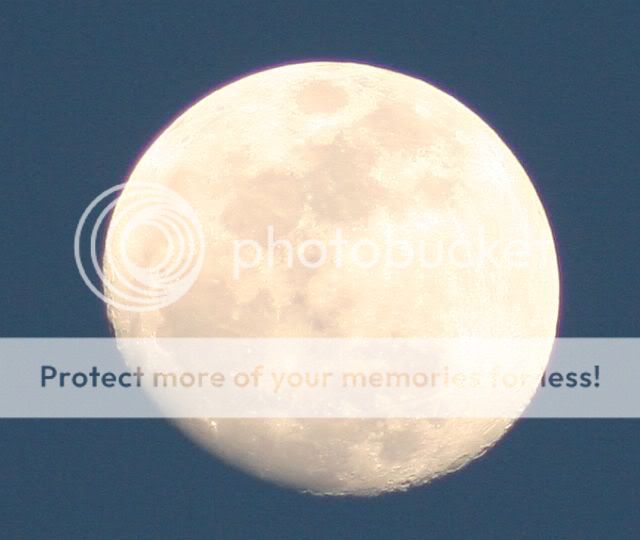 IMG_0920sm.jpg