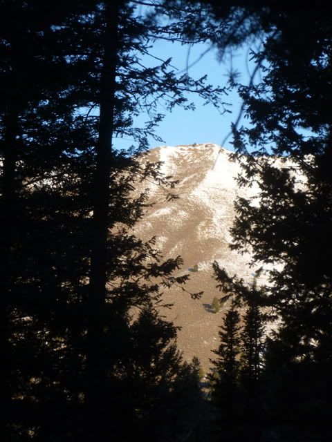 P1020239.jpg
