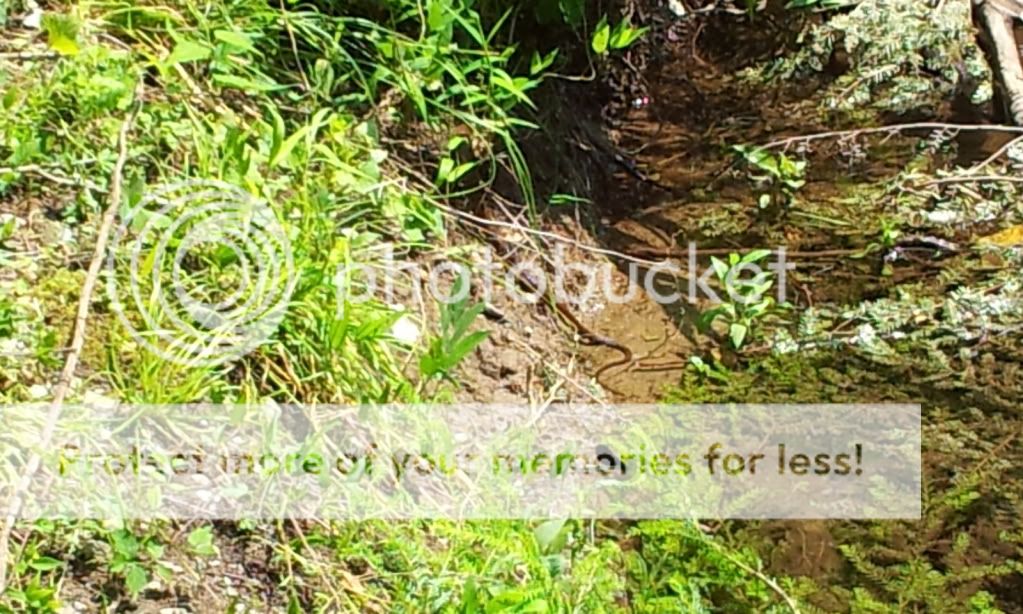 2012-05-25145406.jpg