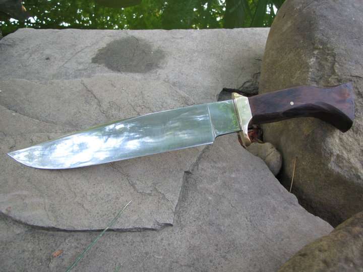 30973542.jpg