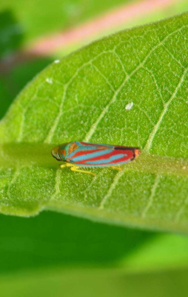 KGD_0539.jpg