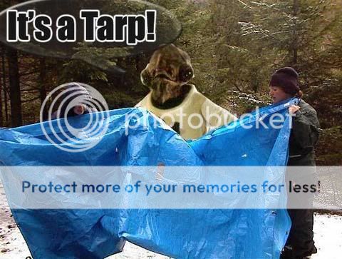 tarp-30198.jpg
