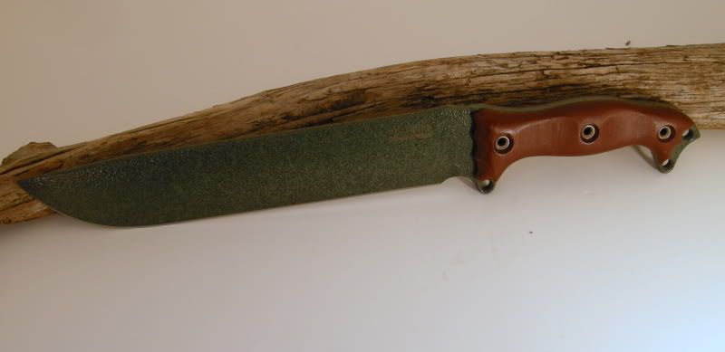 DSCN6536.jpg