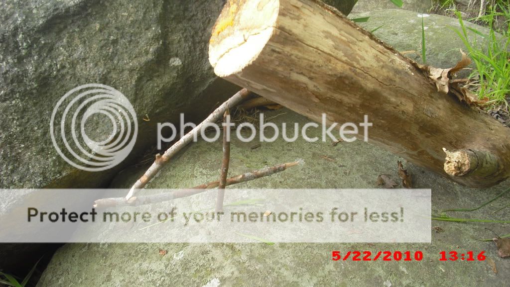 PICT0004-46.jpg