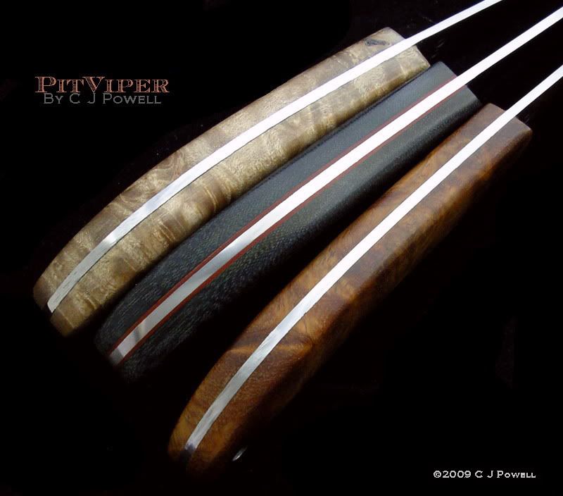 PitVipersSpines.jpg